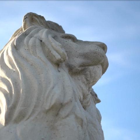Worm's-eye view of lion statue with blue sky in background